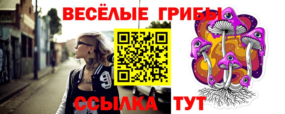 Псилоцибиновые грибы GOLDEN TEACHER Шелехов