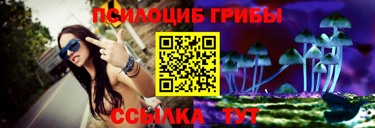 Шелехов  Галлюциногенные грибы мухоморы  Вход с VPN 
