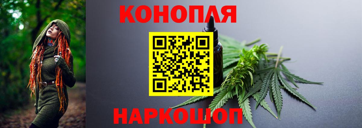 Бошки Шишки сатива Шелехов